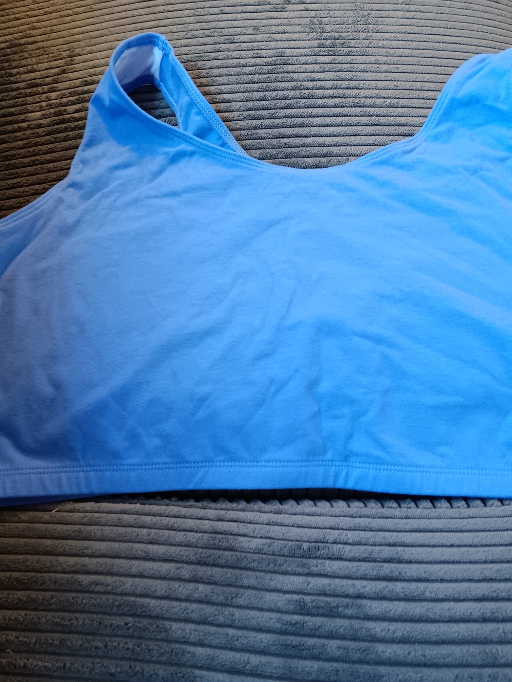 Blue Women's Seamless Crop Bralette